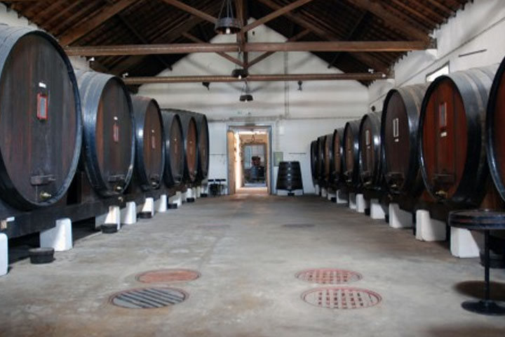Alcobaça Wine Museum Alcobaça Wine Museum