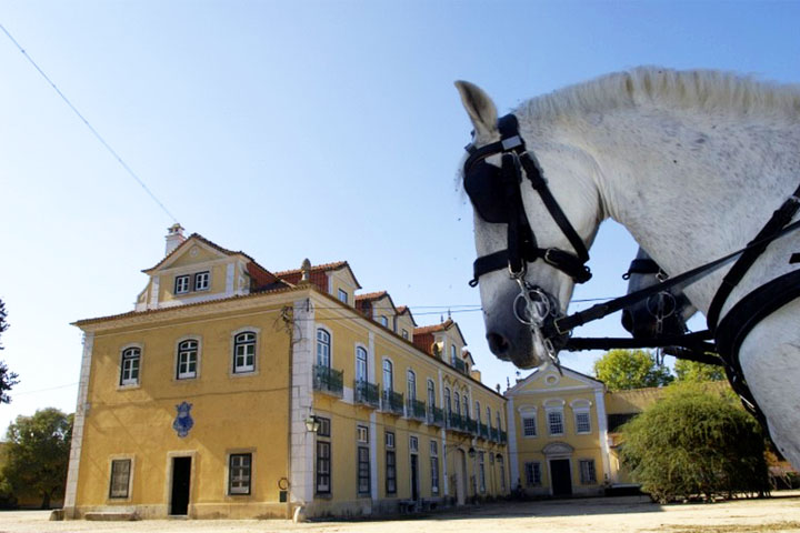 Quinta da Lagoalva Quinta da Lagoalva
