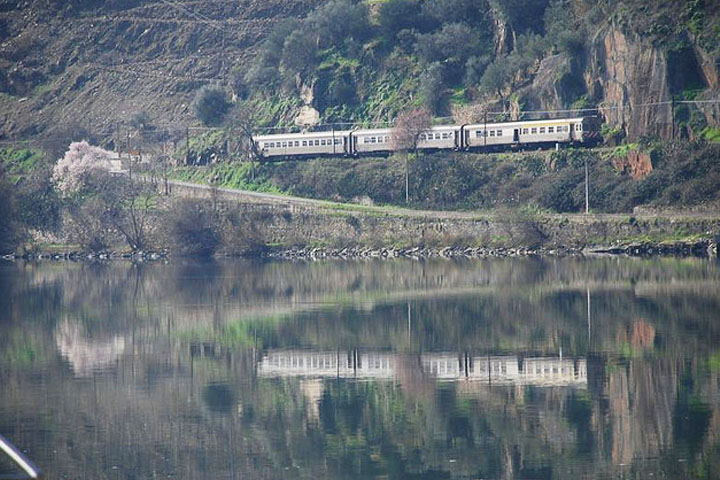 Train in Douro Train in Douro