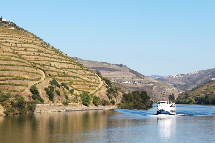 Douro River Cruise Douro River Cruise