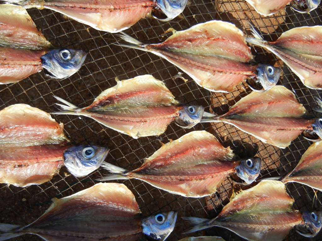 Kuivattu piikkimakrilli (carapau) Kuivattu piikkimakrilli (carapau)